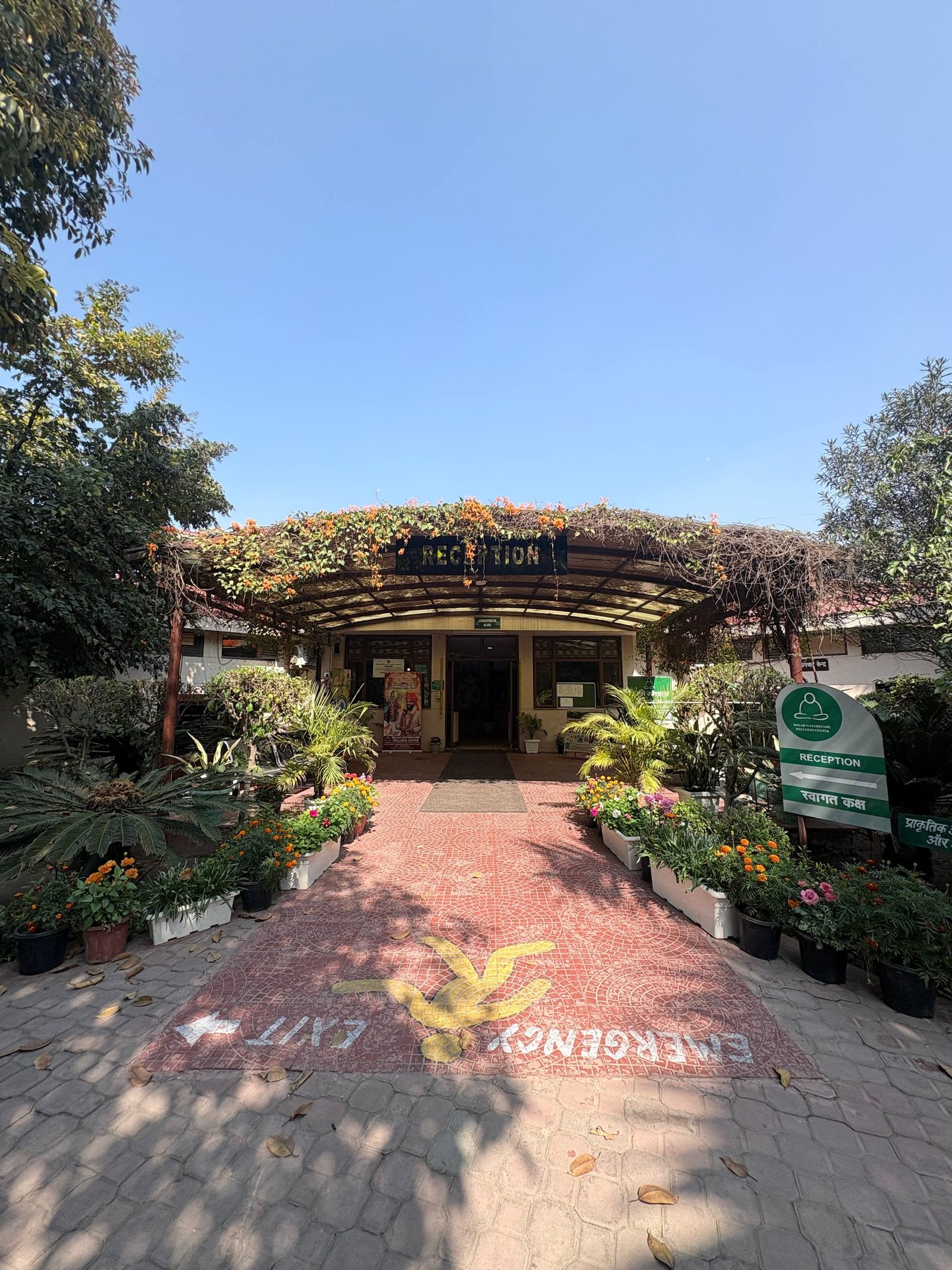 6125147801537678943 (1)